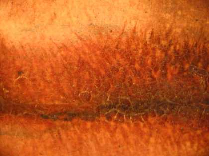 Fig.21 Detail of the sitter’s mouth, showing the hatching technique