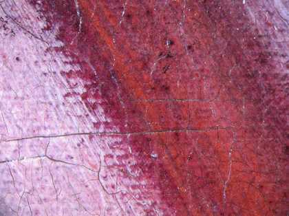 Fig.22 Detail at x10 magnification of the far edge of the older woman’s skirt