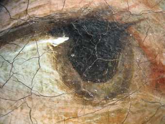 Fig.22 Detail of the sitter’s right eye at x8 magnification, showing wet-in-wet brushwork