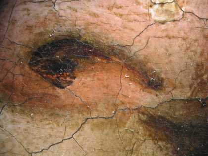 Fig.23 Detail of the sitter’s nose at x8 magnification, showing wet-in-wet brushwork