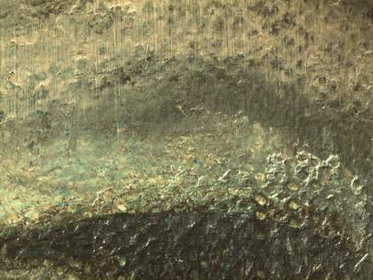 Micrograph showing the eyelid of Girl in a Chemise c.1905