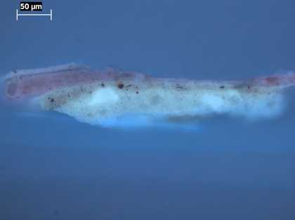 Fig.24 Cross-section through a site close to that illustrated in fig.22, photographed at x320 magnification in ultraviolet light