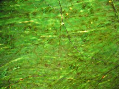 Fig.26 Detail at x8 magnification of the green glaze over white underpainting in the cloak