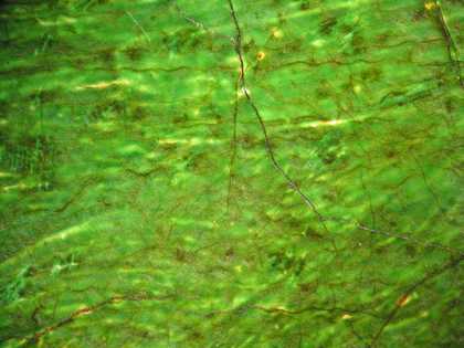 Fig.26 Detail at x8 magnification of the green glaze over white underpainting in the cloak