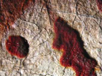 Fig.27 Detail at x8 magnification of bodied red lake glazes on the shoe