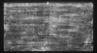 Fig.2 X-radiograph of Hudibras and Ralph taken Prisoner