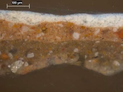 Fig.2 Cross-section from the sky, photographed at x250 magnification.