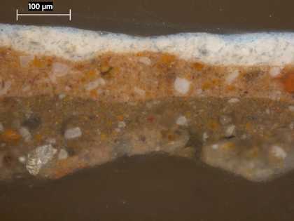 Fig.2 Cross-section from the sky, photographed at x250 magnification.