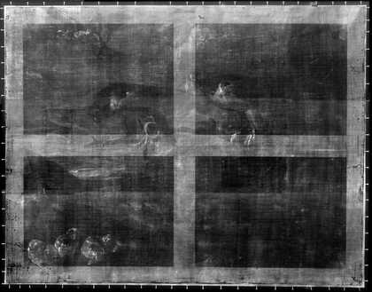 Fig.2 X-radiograph of A Roller, two Peregrine Falcons and a Long-eared Owl with her Young