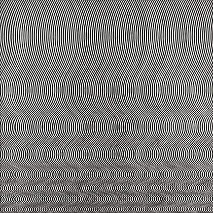 Fig.2 Bridget Riley Fall 1963