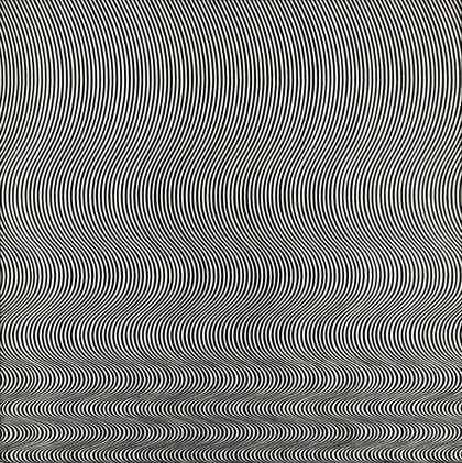 Fig.2 Bridget Riley Fall 1963