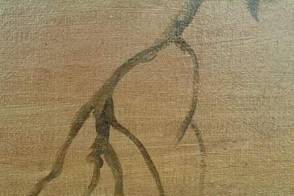 Fig.3 Detail of a branch painted on top of the sky paint. The heavy canvas weave is visible in reflected light