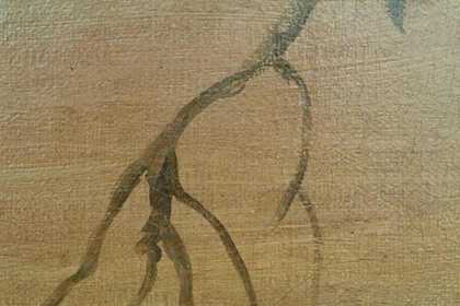 Fig.3 Detail of a branch painted on top of the sky paint. The heavy canvas weave is visible in reflected light