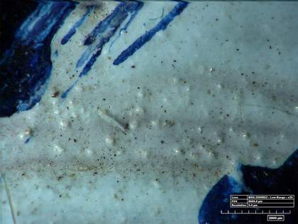 High-resolution micrograph of the ‘legs’