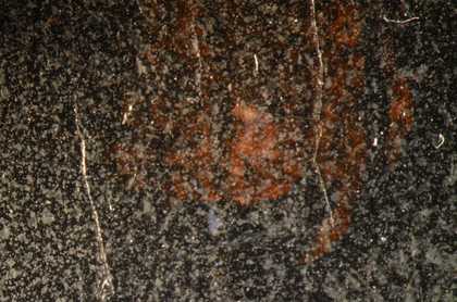 Detail of the surface of the varnish