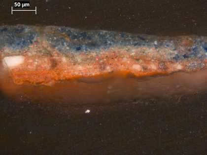 Fig.3 Cross-section through the sky at the top edge, photographed at x320 magnification.