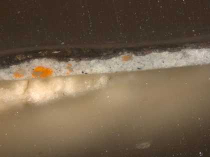 Fig.3 Cross-section through the tablecloth at the right edge, photographed at x320 magnification.
