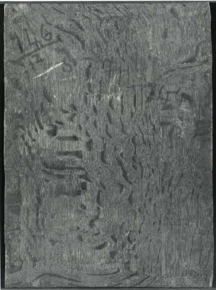 Fig.3 The back of the painting photographed in black and white
