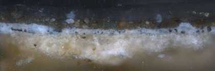 Fig.3 Cross-section through the feigned oval frame at the bottom of the picture, photographed at x 320 magnification.