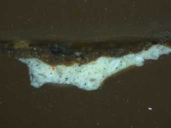 Fig.3 Cross-section through the brownish grey background at the right edge, photographed at x320 magnification.