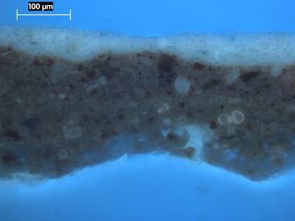 Fig.3 Cross-section from the sky, photographed at x250 magnification in ultraviolet light.