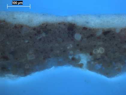 Fig.3 Cross-section from the sky, photographed at x250 magnification in ultraviolet light.