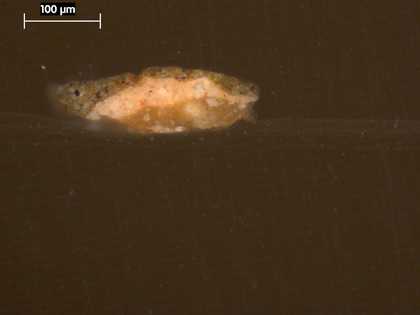 Fig.3 Cross-section from the grey stone oval, photographed at x225 magnification. From the bottom: chalk-rich ground; opaque pink priming; opaque, greyish brown paint