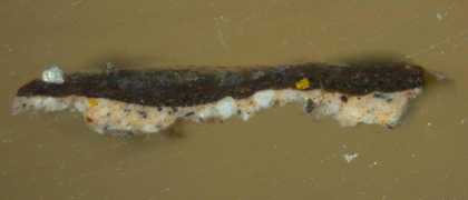 Fig.3 Cross-section through the torus of the column, photographed at x160 magnification. From bottom to top it shows: beige ground; lilac-grey paint of column; varnish residues