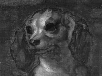 Fig.3 Infrared details of the animals and trees