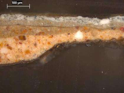Fig.3 Cross-section from the sky at the right edge, photographed at x250 magnification.