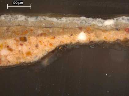 Fig.3 Cross-section from the sky at the right edge, photographed at x250 magnification.