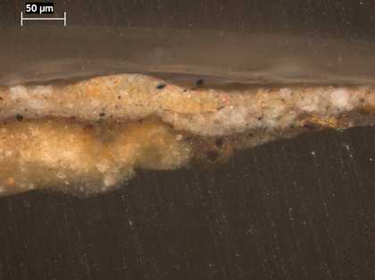Fig.3 Cross-section through the stone ledge in the lower central foreground, photographed at x320 magnification.
