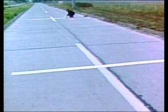 Film still showing a grey road with white crosses painted down the middle; in the distance a figure crouches and appears to be painting the white lines