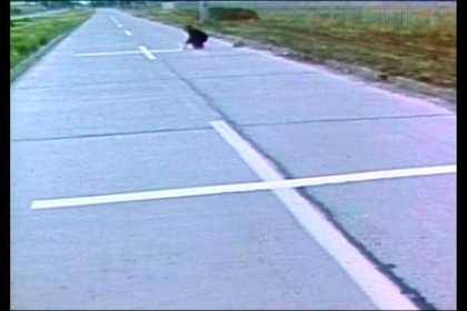 Film still showing a grey road with white crosses painted down the middle; in the distance a figure crouches and appears to be painting the white lines