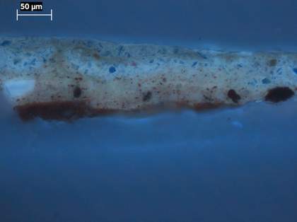 Fig.4 Cross-section through the sky at the top edge, photographed at x320 magnification in ultraviolet light.