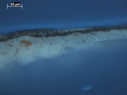 Fig.4 Cross-section through the tablecloth at the right edge, photographed at x320 magnification in ultraviolet light.