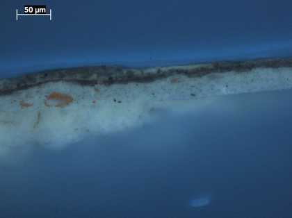 Fig.4 Cross-section through the tablecloth at the right edge, photographed at x320 magnification in ultraviolet light.