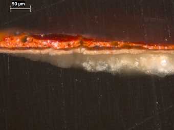 Fig.4 Cross-section through the red curtain at the top edge, photographed at x320 magnification.