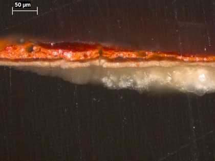 Fig.4 Cross-section through the red curtain at the top edge, photographed at x320 magnification.