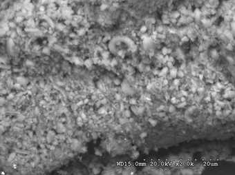 Fig.4 The ground photographed at x200 magnification using a scanning electron microscope, showing coccoliths