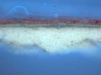 Fig.4 Cross-section of paint through the red costume at the lower edge of the painting, photographed at x320 magnification in ultraviolet light.