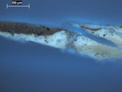 Fig.4 Cross-section through the dark red trousers at the bottom edge, photographed at x250 magnification in ultraviolet light