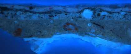 Fig.4 Cross-section through the pink strap of the left shoe, photographed at x360 magnification, viewed in ultraviolet light.