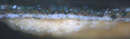 Fig.4 Cross-section through foliage at the bottom edge, photographed at x320 magnification. From the bottom up: white ground; black particles, perhaps a dark wash of paint; brownish grey priming; green paint