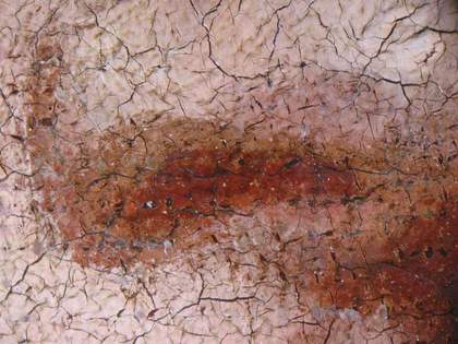 Fig.4 Microphotograph of the nostril taken at x8 magnification, showing the ground left unpainted to form the half-shadow