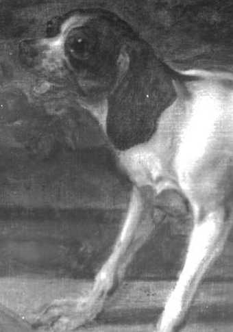 Fig.4 Infrared details of the animals and trees