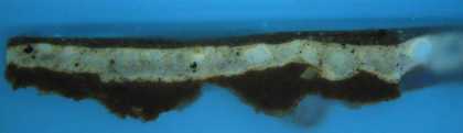 Fig.4 The same cross-section photographed in ultraviolet light