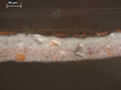 Fig.4 Cross-section through the top of the red book, photographed at x320 magnification.