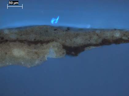 Fig.4 The same cross-section viewed in ultraviolet light