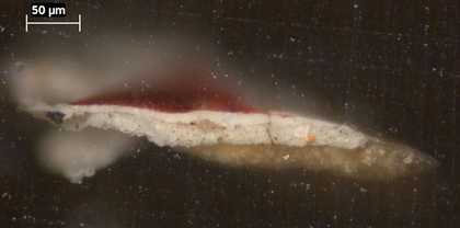 Fig.4 Cross-section through the patterned skirt at the lower edge, photographed at x320 magnification.